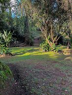 Cabañas La Naciente