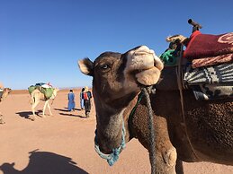 Desert Moussa Tours