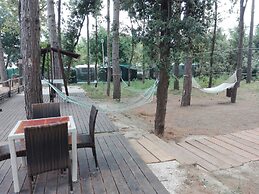 Biancopineta B&B