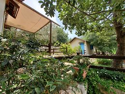 Rawa2 Village