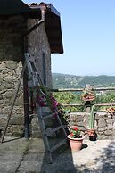 Le Chianine dei Tognoli