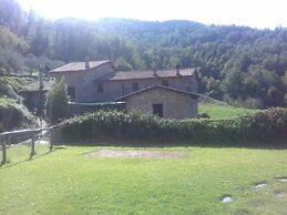 Le Chianine dei Tognoli