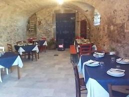 Le Chianine dei Tognoli