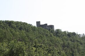 Le Chianine dei Tognoli
