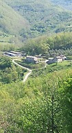 Le Chianine dei Tognoli
