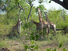 Ndhula Luxury Tented Lodge