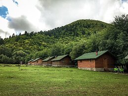 Farma Sotira
