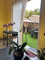 B&B Metropolitan RC