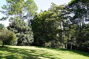 McCarthy Grove