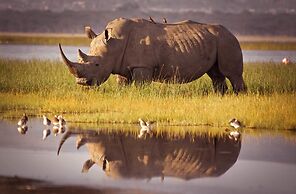 17 Manzini Holiday Resort