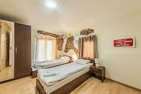 Vitosha Flat