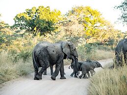 Mdluli Safari Lodge