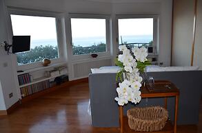 Suite 52