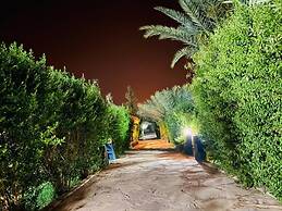 Paradis Touareg