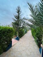 Paradis Touareg