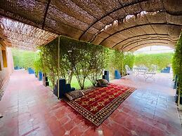 Paradis Touareg