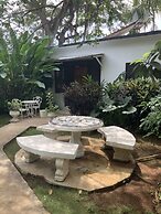Yoga Dreams Negril