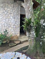 Yoga Dreams Negril
