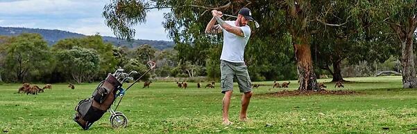 Kalgan River Chalets and Caravan Park