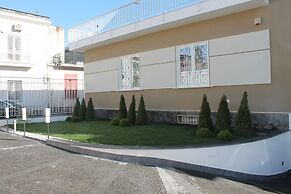B&B Lapillus