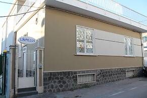 B&B Lapillus