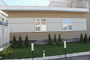 B&B Lapillus