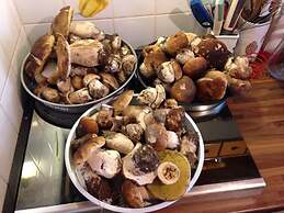 Osteria Gaute La Nata