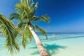 Saint Francis Resort