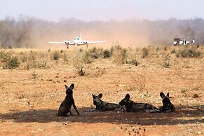 Mwinilunga Safaris
