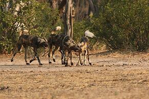 Mwinilunga Safaris