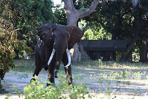 Mwinilunga Safaris