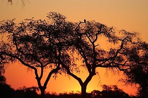 Mwinilunga Safaris
