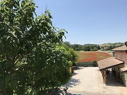 Tra i Campi Di Papaveri