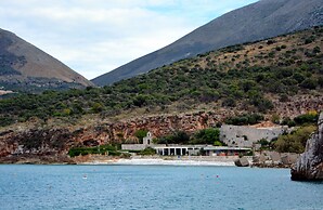 Olea
