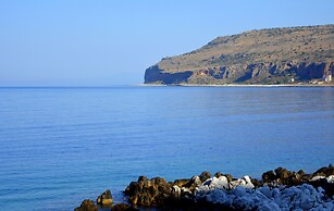 Olea