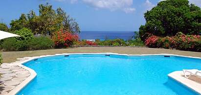 Villa San Flamingo