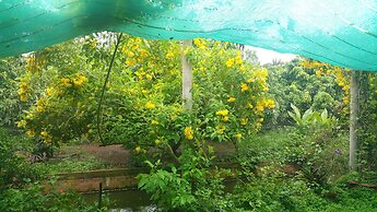 Ba Linh Homestay