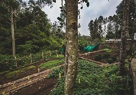 Shambala Yercaud