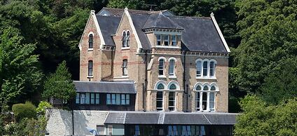 The Elmfield