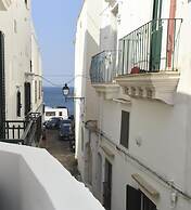 B&B Fiore