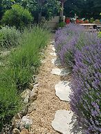 Limoux Riverside Gardens