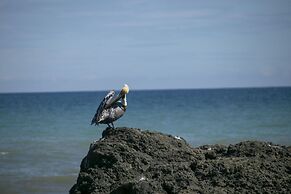 Villas Cabuya Beach & Forest