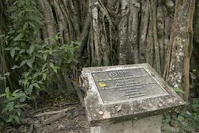 Villas Cabuya Beach & Forest