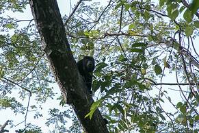 Villas Cabuya Beach & Forest