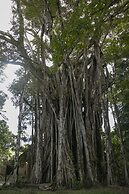 Villas Cabuya Beach & Forest