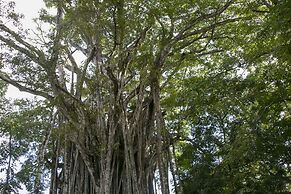 Villas Cabuya Beach & Forest