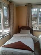 Beehive Hostel