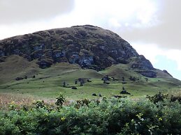 Cabañas Te Maori