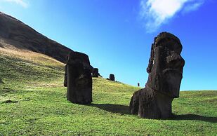 Cabañas Te Maori