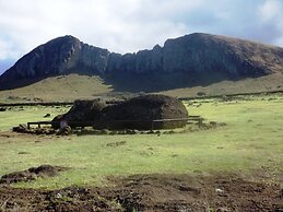 Cabañas Te Maori